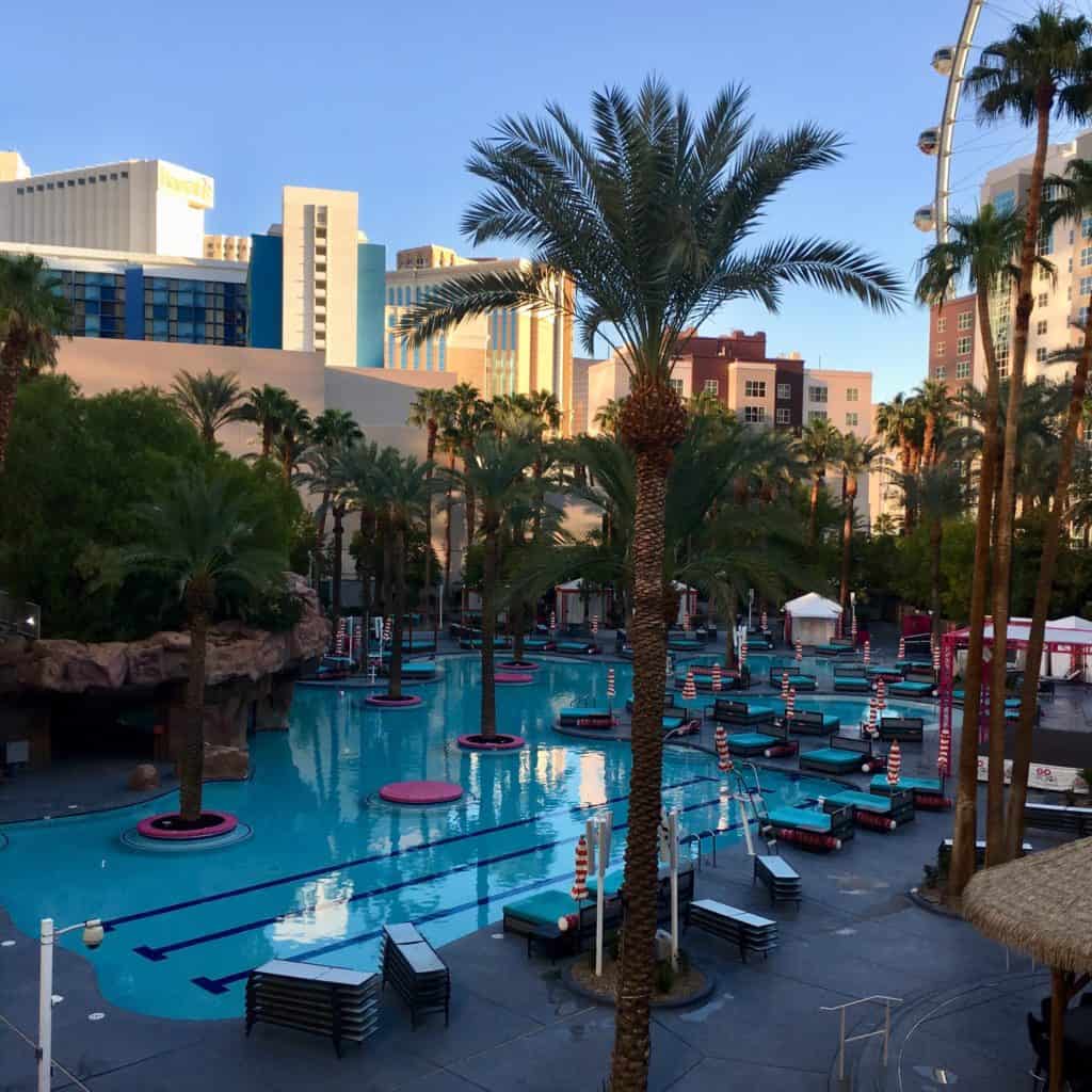 Flamingo's GoPool at dawn