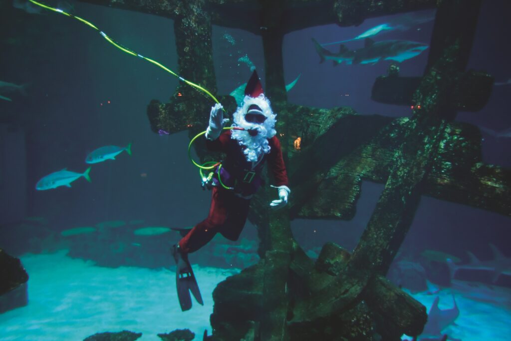 Santa, scuba diving with sharks at the Shark Reef Aquarium.