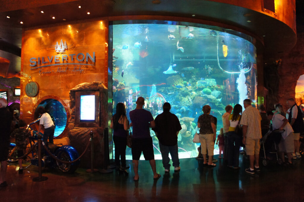 Large fish tank at Silverton Las Vegas