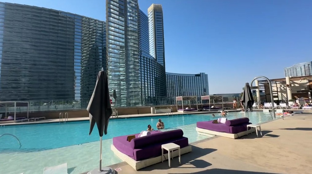 Purple daybeds in front of a skinny pool Aria is visible in the background.