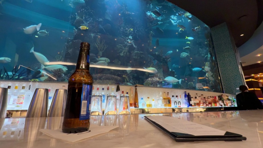 My beer on the counter with an illuminated aquarium stocked with fish in the background.