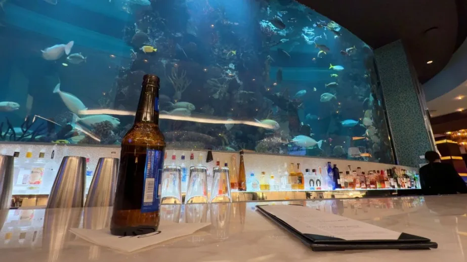 My beer on the counter with an illuminated aquarium stocked with fish in the background. 