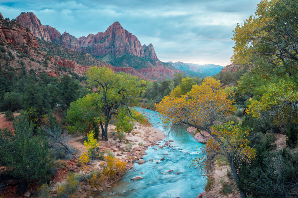 River cutting through Zion National Park