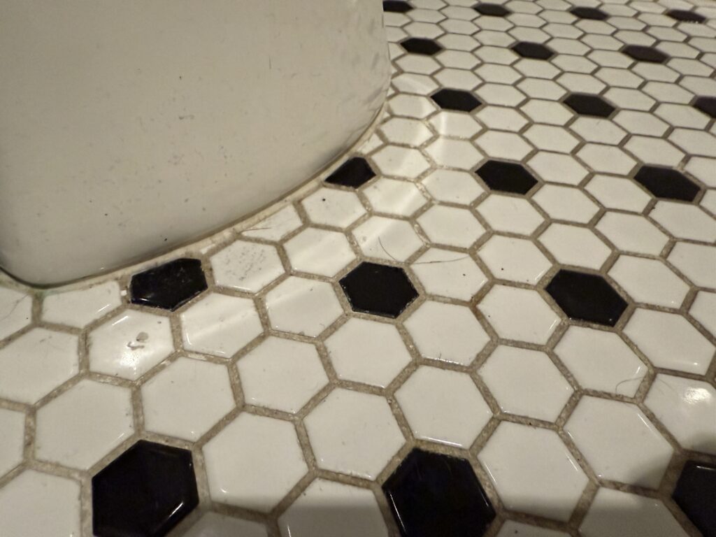 Dust and hair accumulation on the floor in front of the toilet. 