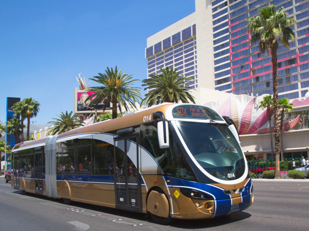 Bus on the Las Vegas Strip in front of Flamingo