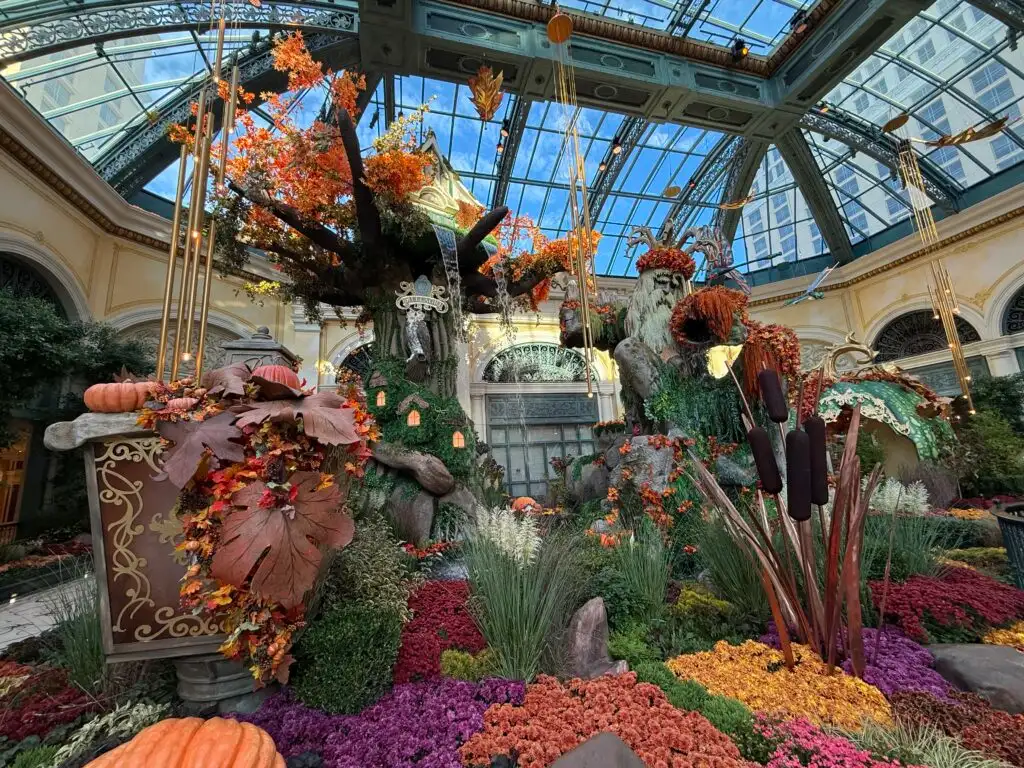 A treehouse, a waterfall, and the glass roof. 