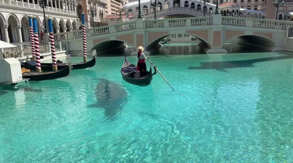 A gondola glides over water, a shadow of the gondola is visible on the pool floor. 