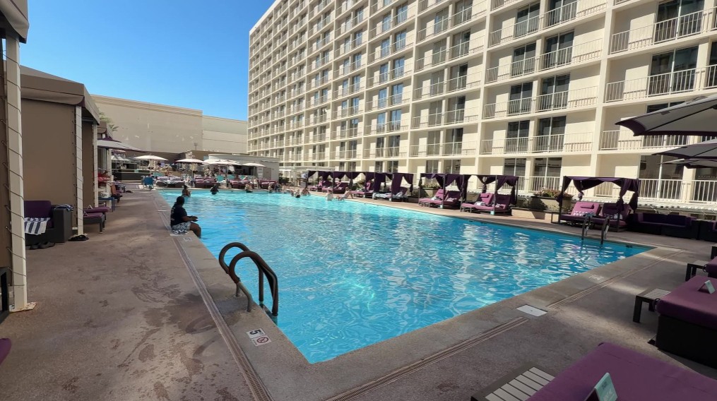 A rectangular pool surrounded by purple daybeds.