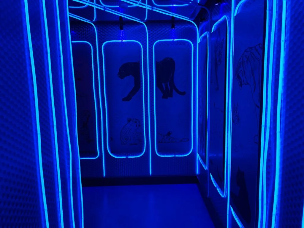 Illuminated hallway to the Men's Bathroom