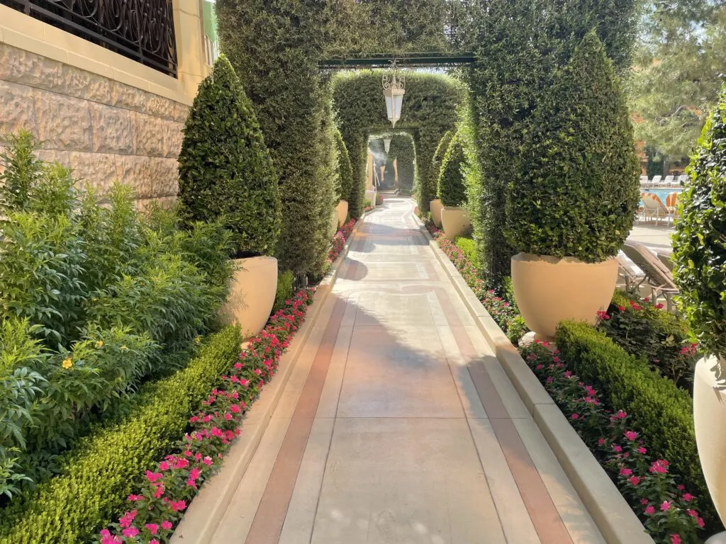 Path leading to Wynn's pool surrounded by plants