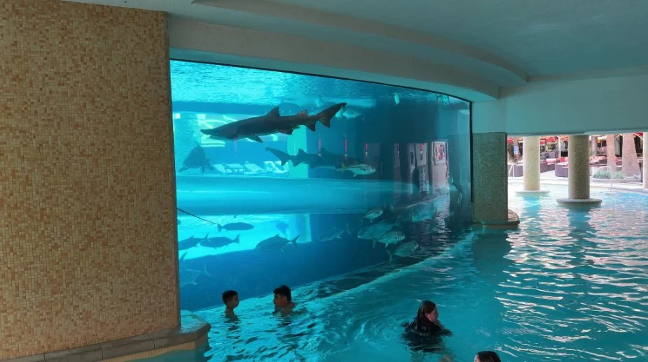 The silhouette of a shark in the Tank.