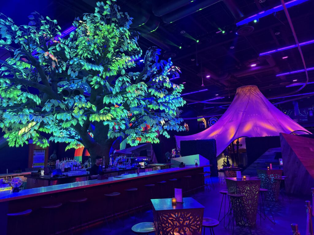 A tree with illuminated leaves stands above a bar below.