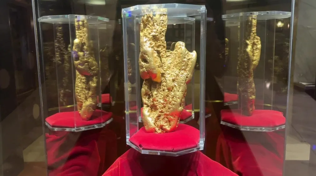 A golden nugget in a glass case, resting on red velvet.