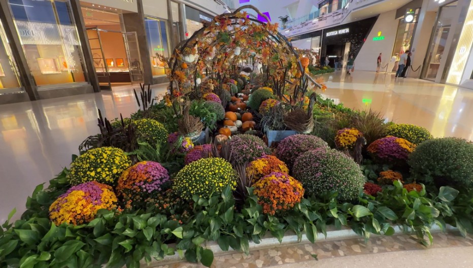 An Autumnal floral display in the Shops at Crystals.