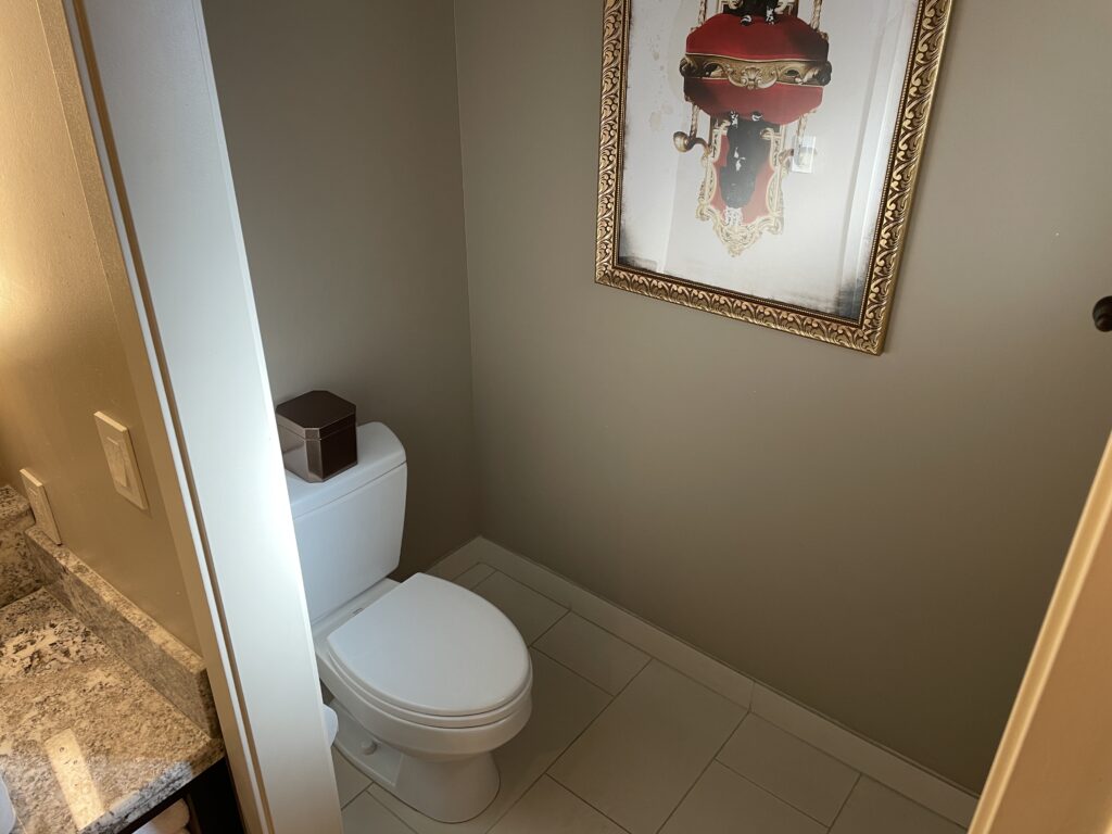 Toilet in the bathroom