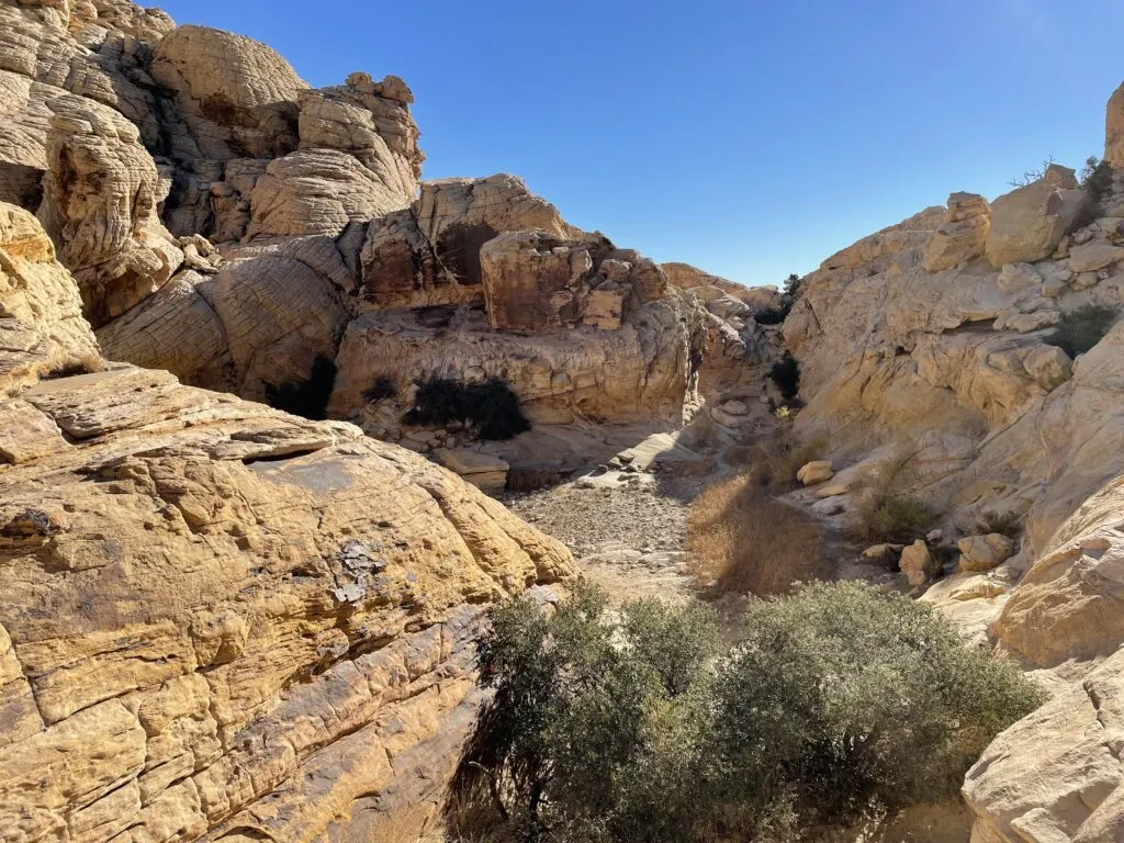 Tall, white rock formations surrounding a flat area