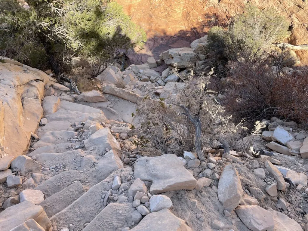 crude stairwell along the trail