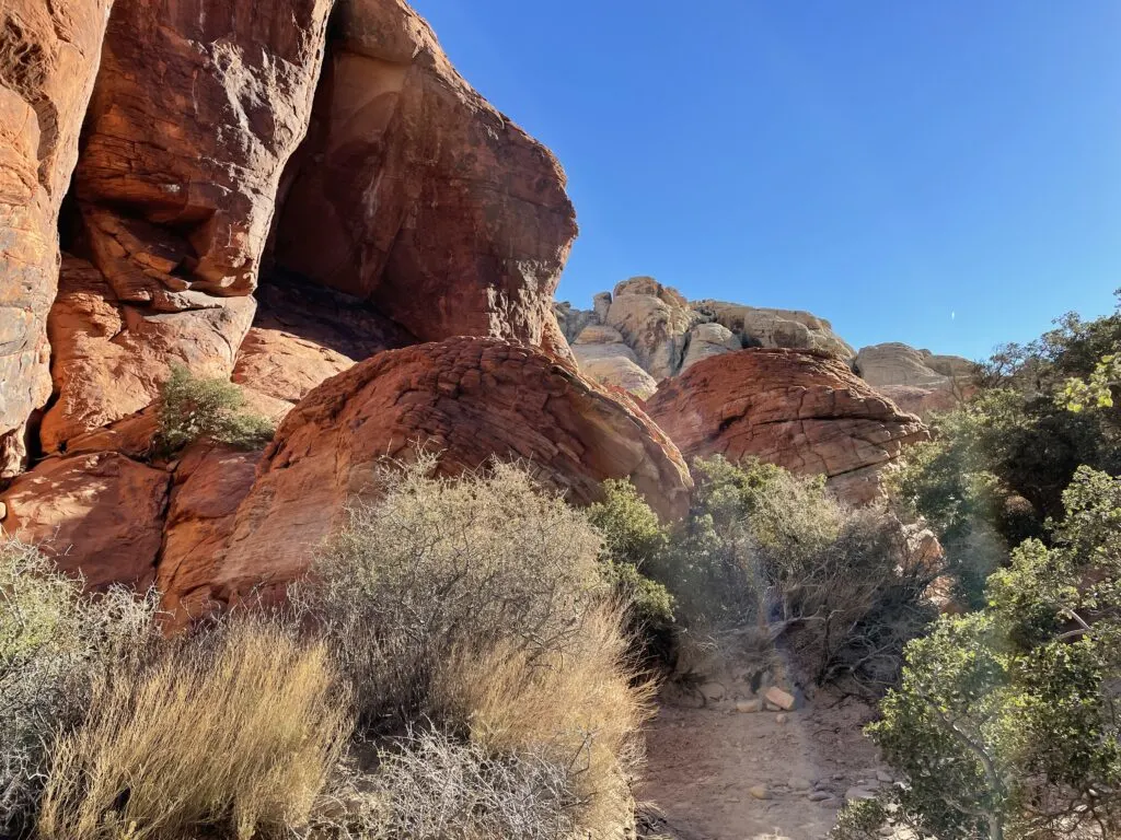 Red Rock cliff with green plants in the foreground