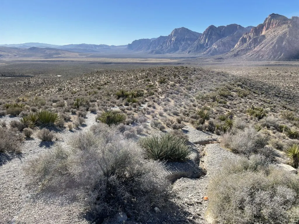 Red Rock Canyon from the High Point Overlook