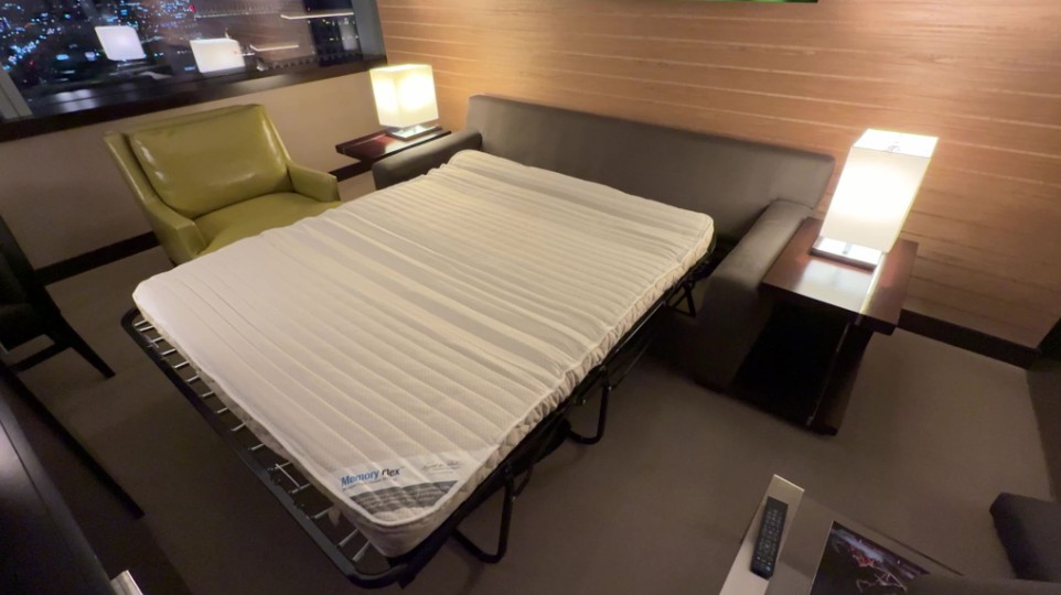 A pull-out bed matress that came out of the couch. 
