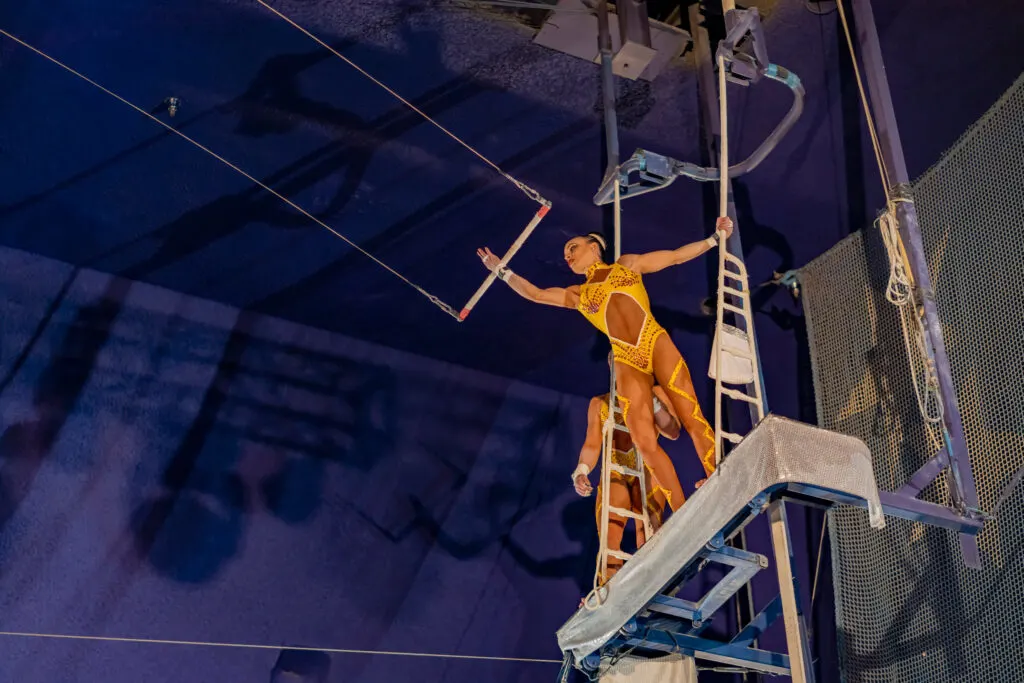 Trapeze performer gets ready to grab the bar and swing