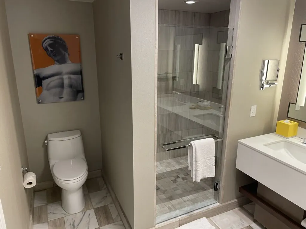 Toilet and glass shower door