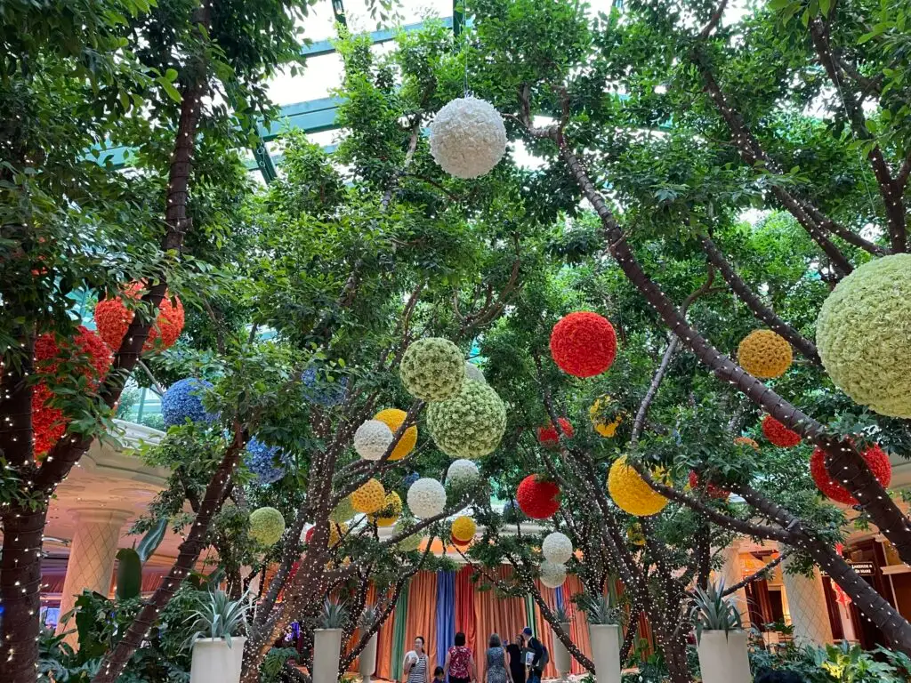Branches with floral ball orniments extend above a walkway. Wrapped tightly around the tree branches are white string lights.