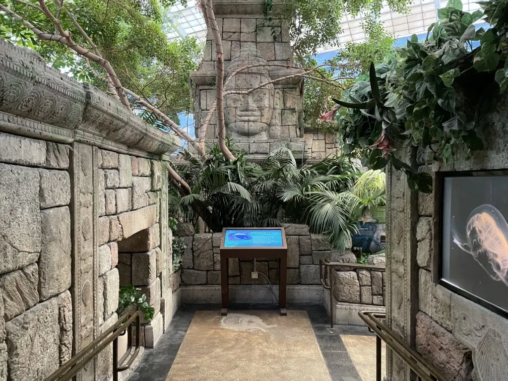 A stone walkway through the indoor zoo, surrounded by lush foliage.