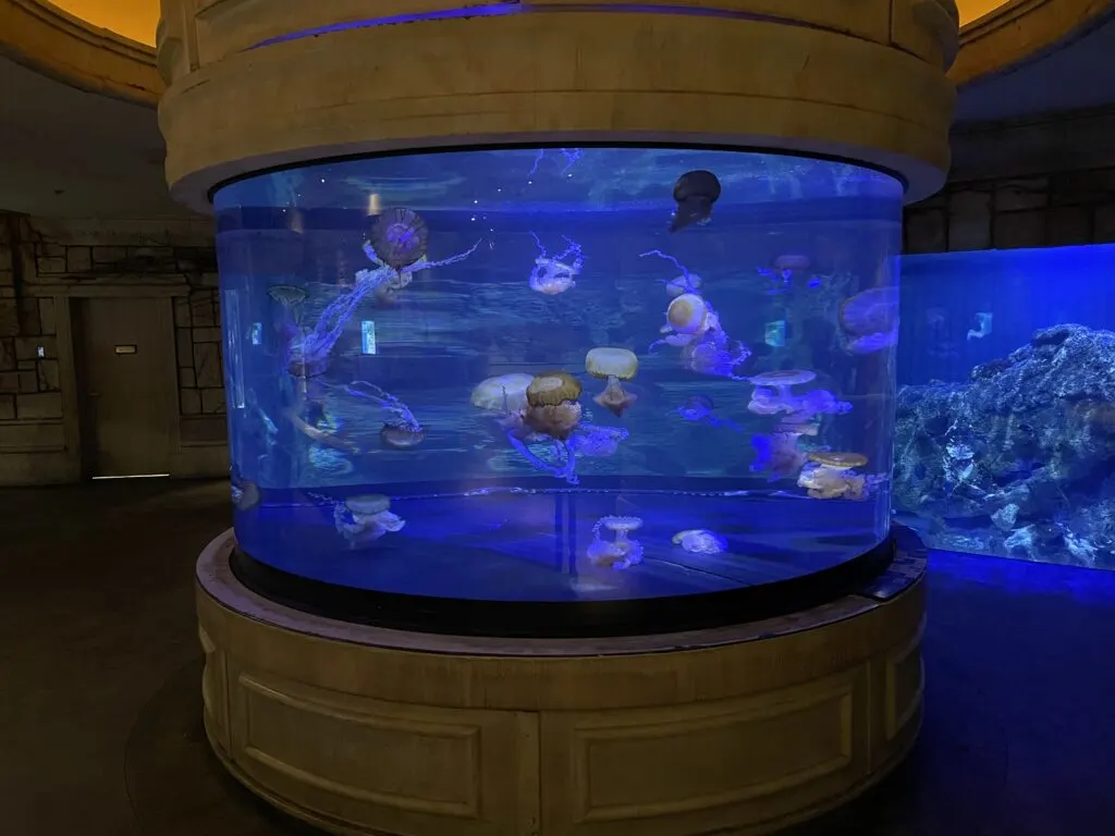 Shark Reef Aquarium at Mandalay Bay Hotel in Las Vegas 2023