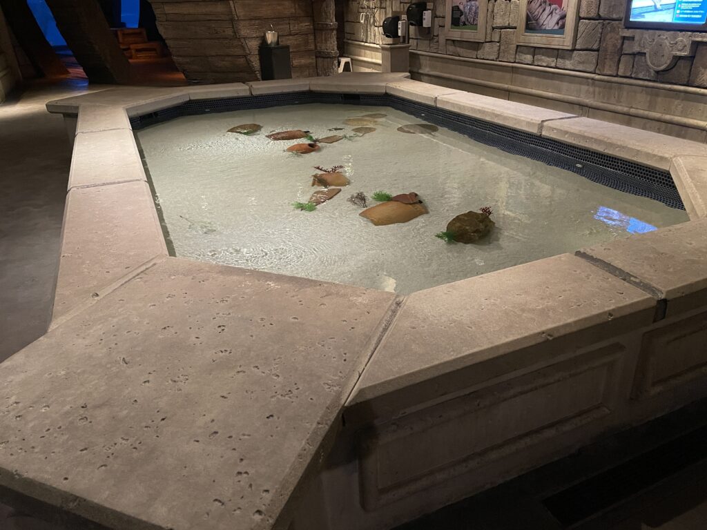 A shallow pool with various sea animals is in the middle of the room.  People are invited to pet the animals. 