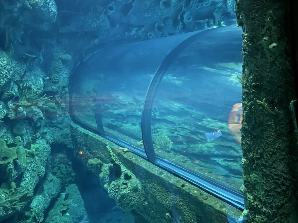 A view of the second of two glass tubes from a window inside the ship exhibit. 