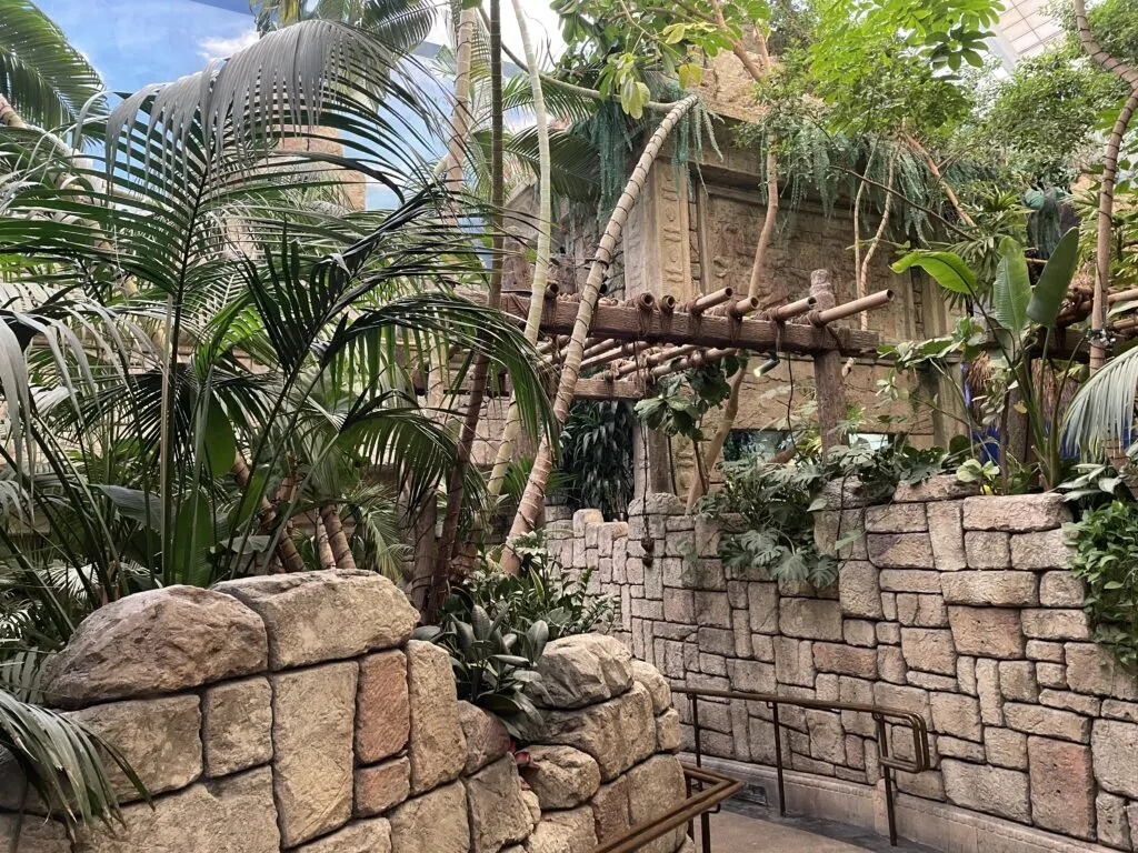 A pathway in the zoo flanked by stone walls. Above, green plants spill over the walls and over the path.