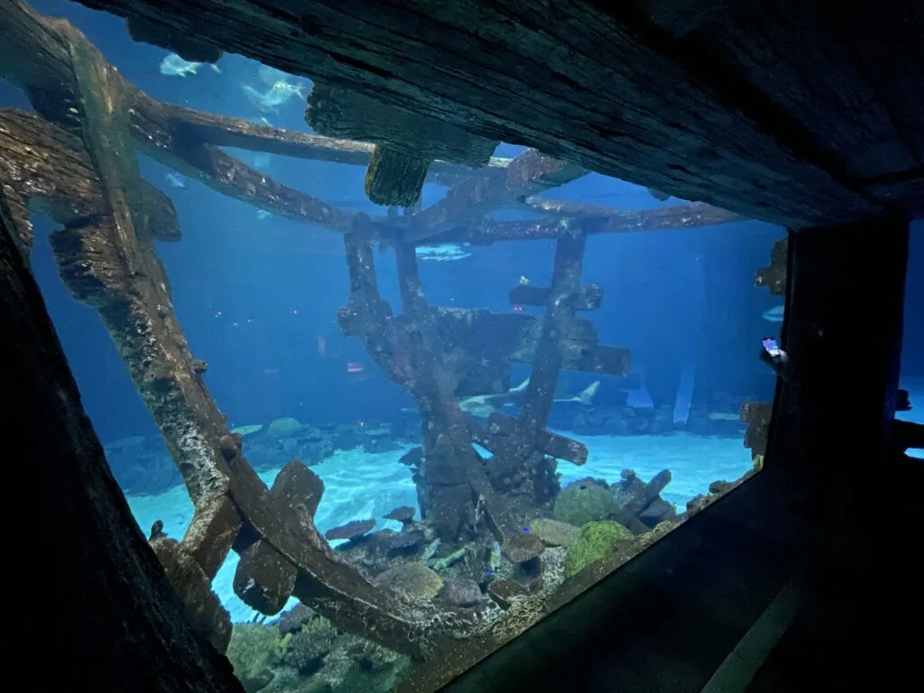 A window looking out over a shipwreck within the ship exhibit. 