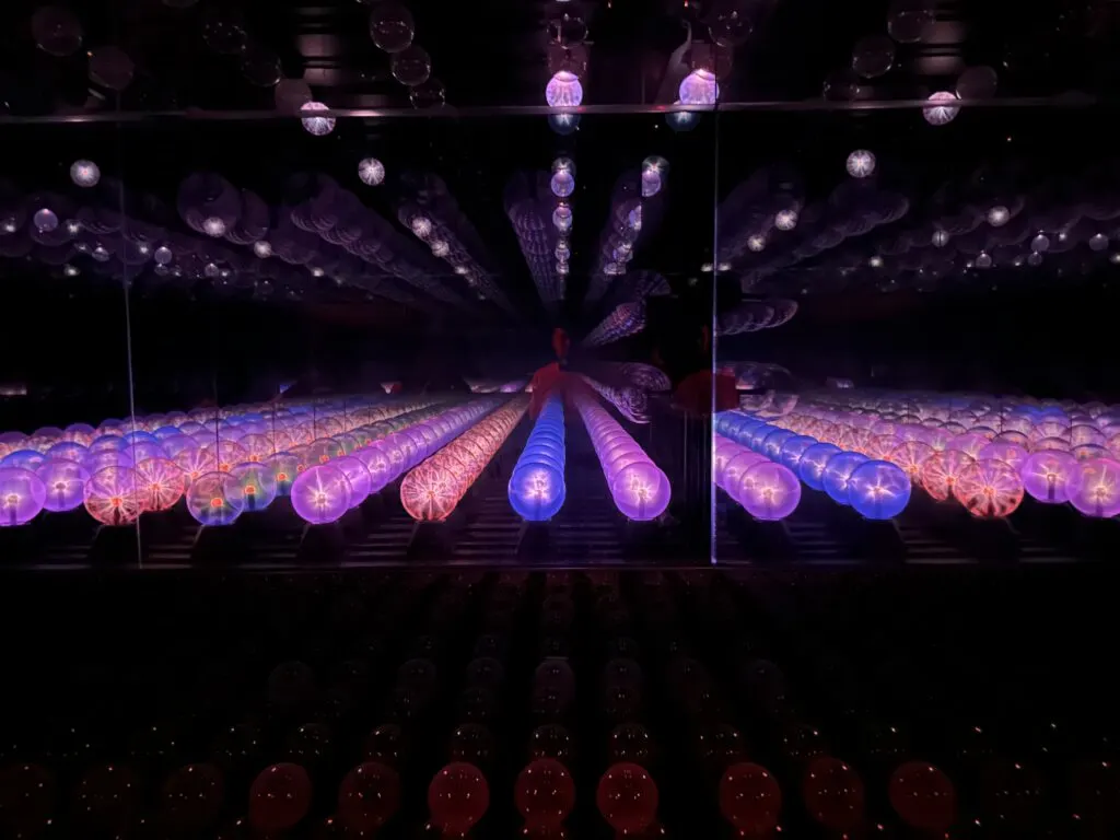 Rows of plasma balls extend into the distance at Wink World. 