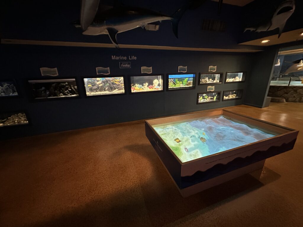 Illuminated fish tanks line the back wall, and an interactive sand table for kids is in the middle of the room. 