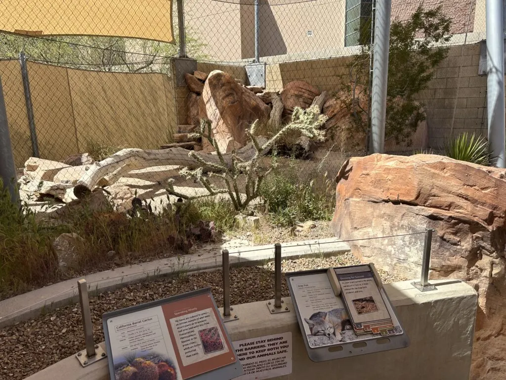 A habitat which is home to a Gray Fox behind netting. 