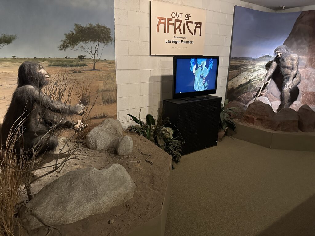 The outof Africa display with human like primates posed, and a TV playing an informational video. 
