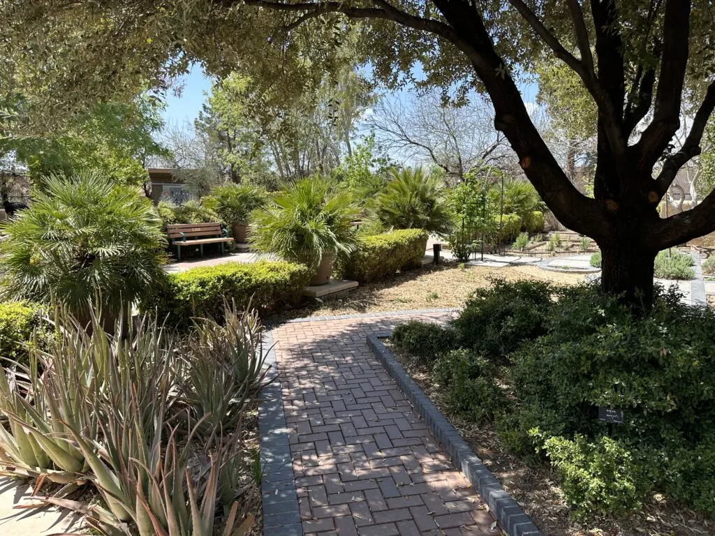 A shady spot underneath a leafy tree along a brick path in the botanical garden.