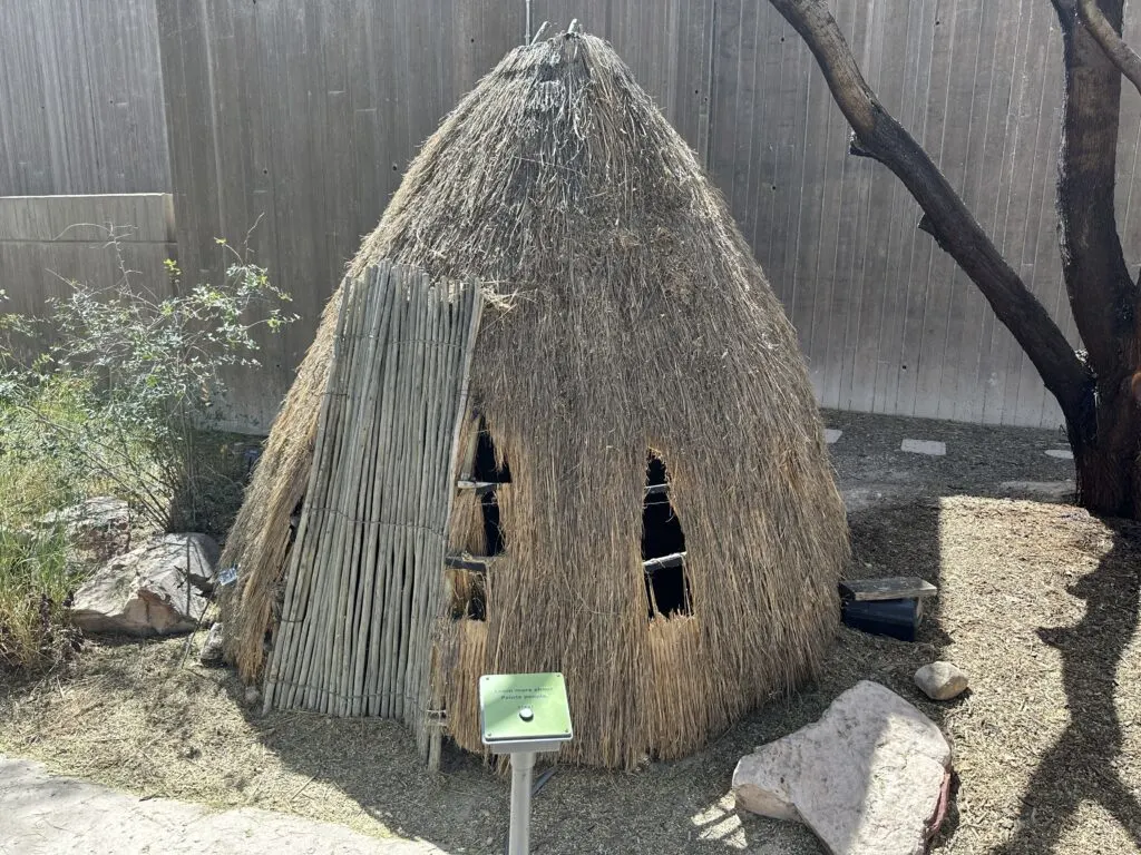 A Paiute shelter that is made of sticks and leaves. 