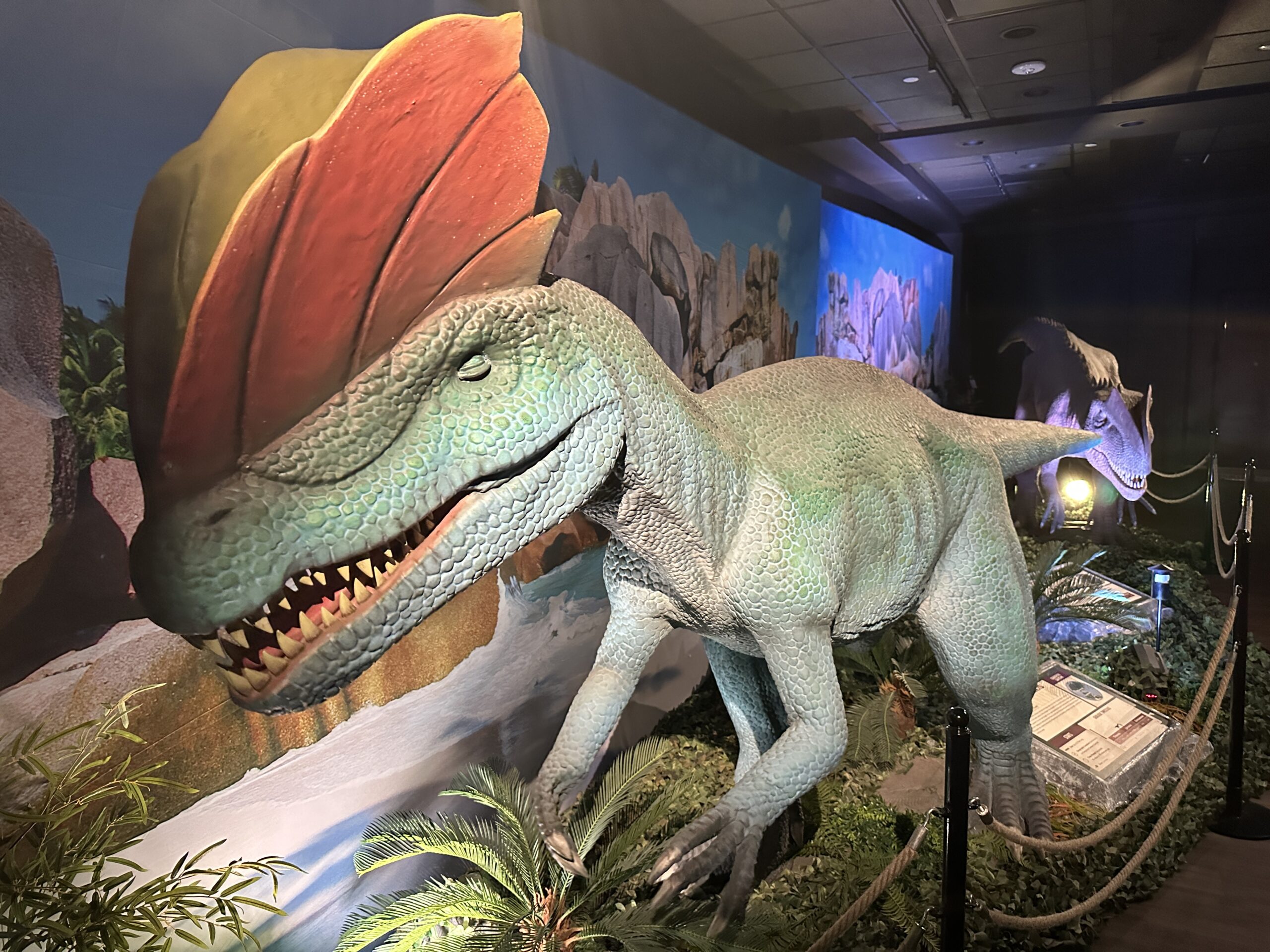 Review of Dino Safari at Horseshoe Las Vegas Look Inside!