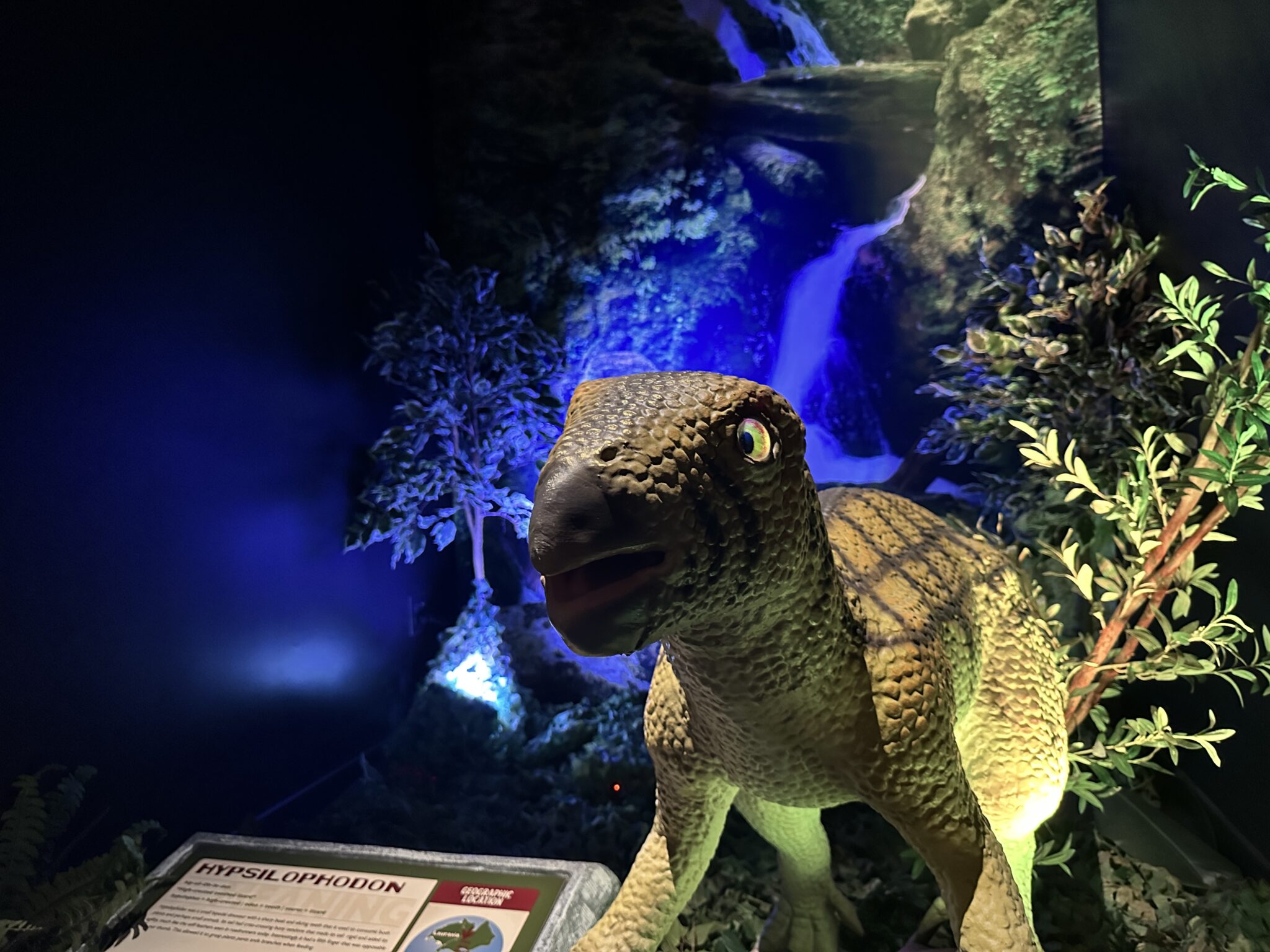 Review of Dino Safari at Horseshoe Las Vegas Look Inside!