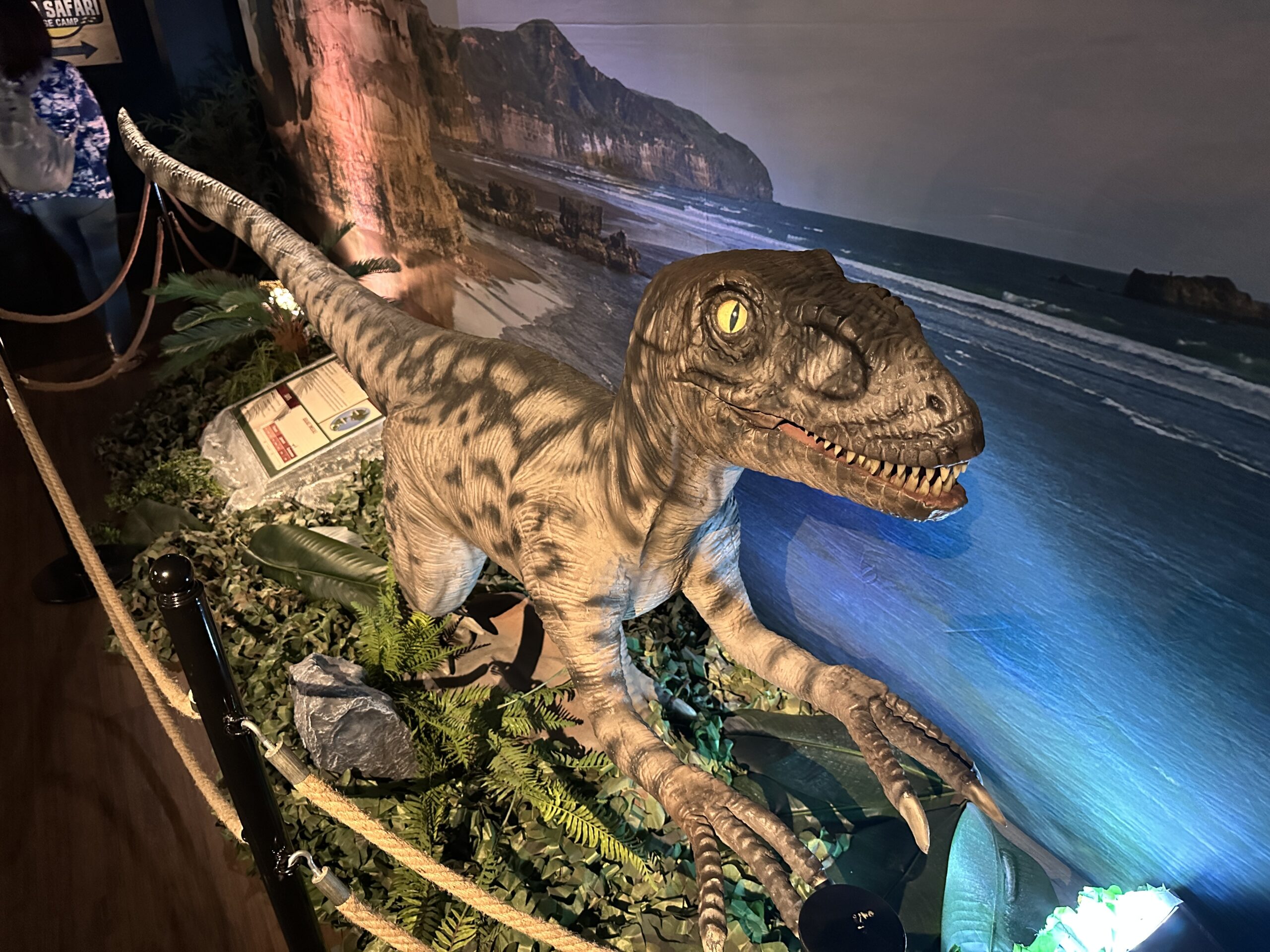 Review of Dino Safari at Horseshoe Las Vegas Look Inside!