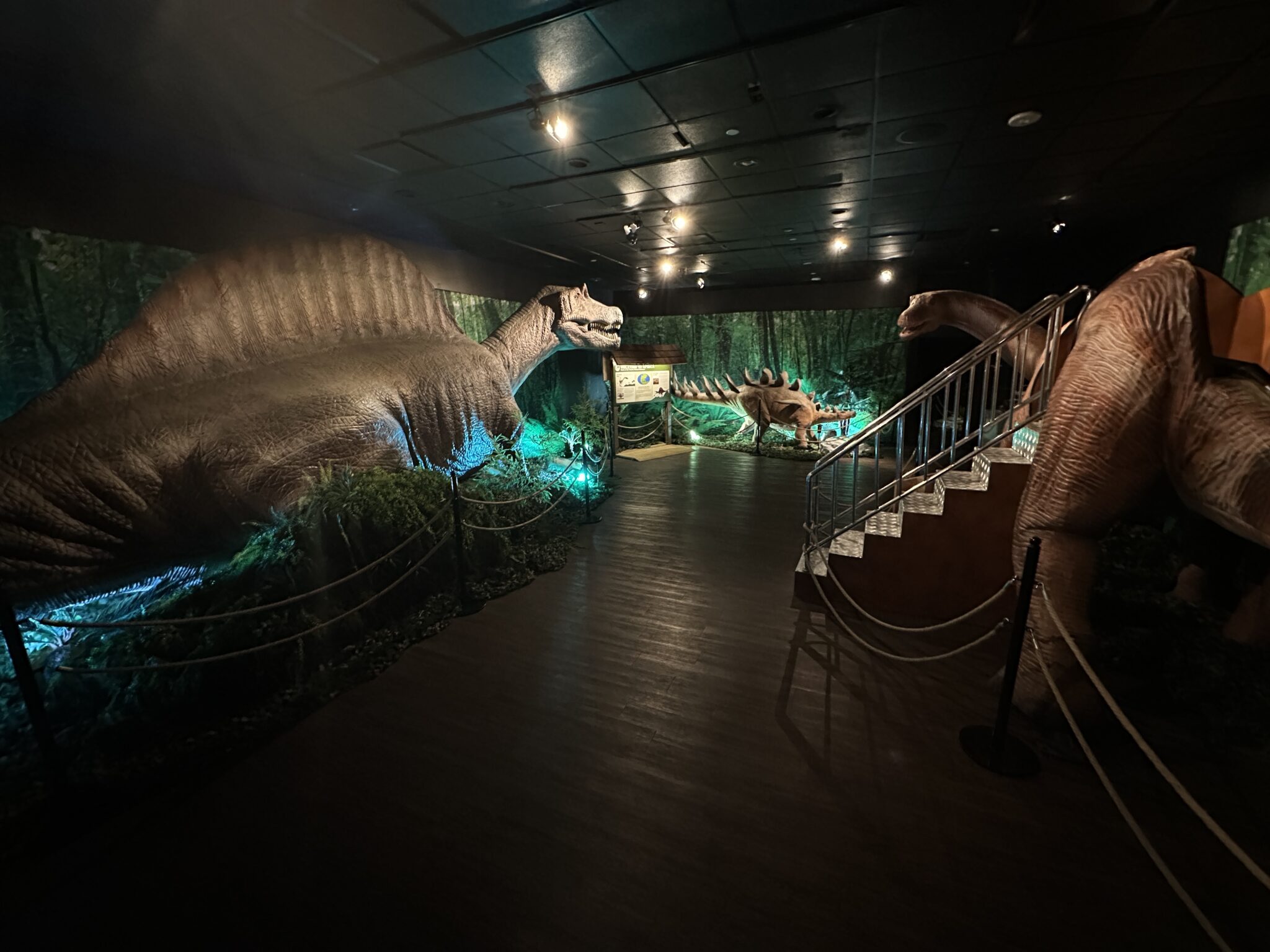 Review of Dino Safari at Horseshoe Las Vegas Look Inside!