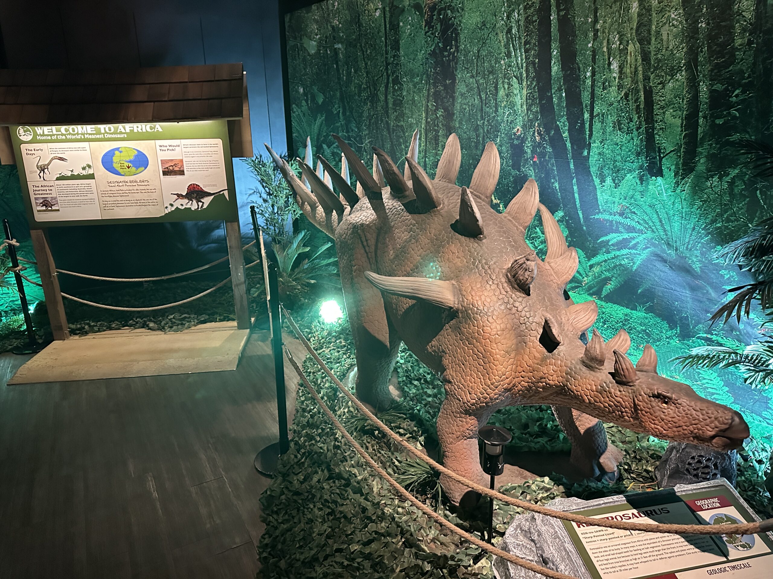 Review of Dino Safari at Horseshoe Las Vegas Look Inside!