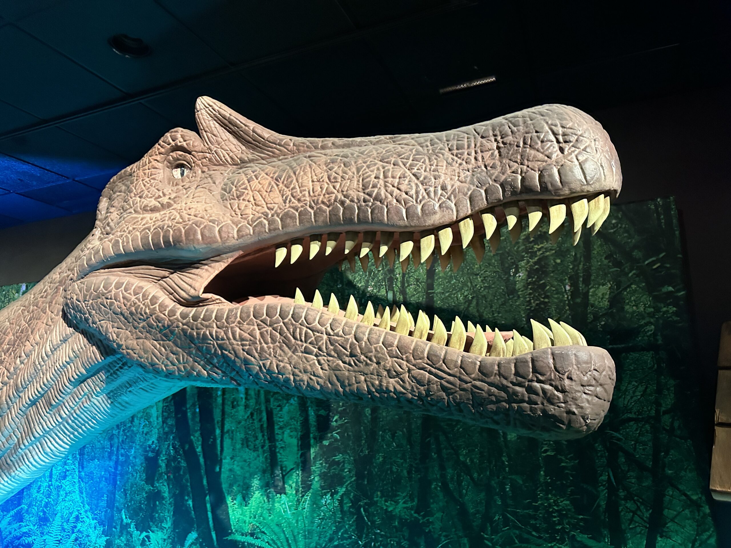 Review of Dino Safari at Horseshoe Las Vegas Look Inside!