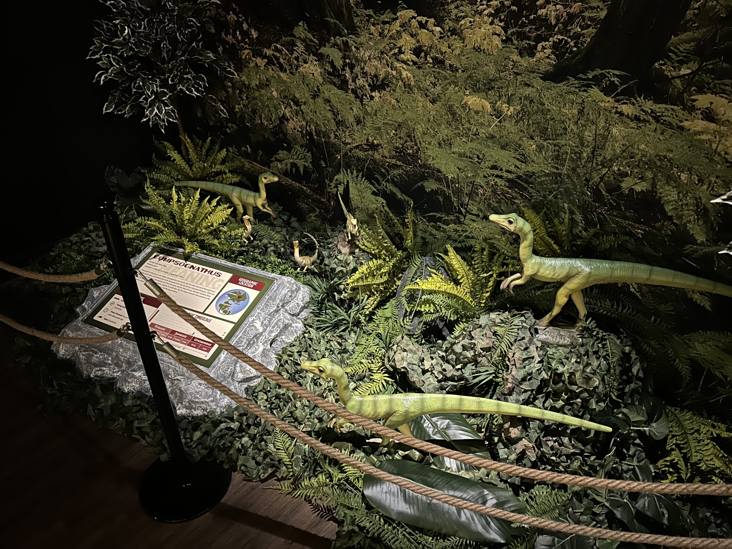 Review of Dino Safari at Horseshoe Las Vegas Look Inside!