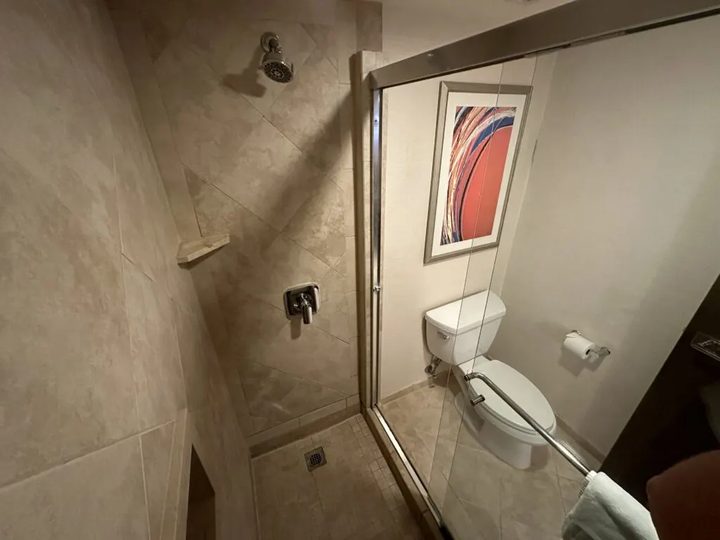 A picture from inside the shower that also shows the toilet just ouside in the same small room.