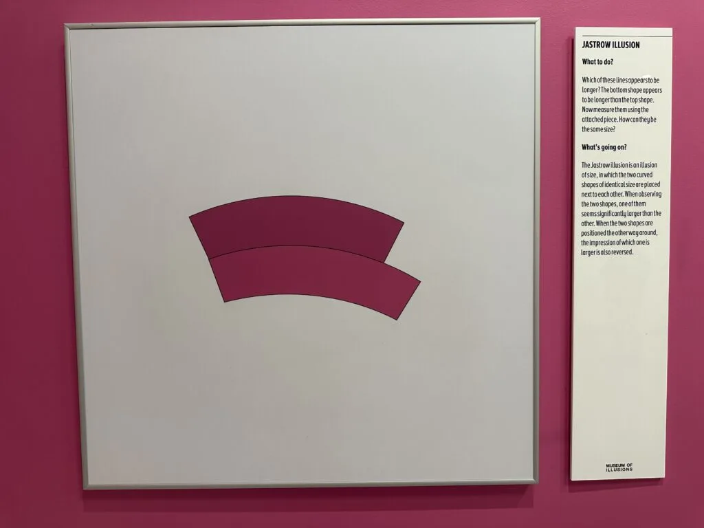 Two curved lines on top of each other. One clearly looks longer than the other but they are the same size.,