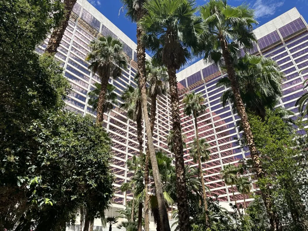 Flamingo's hotel tower towers over and is visible between palm tree canopies.