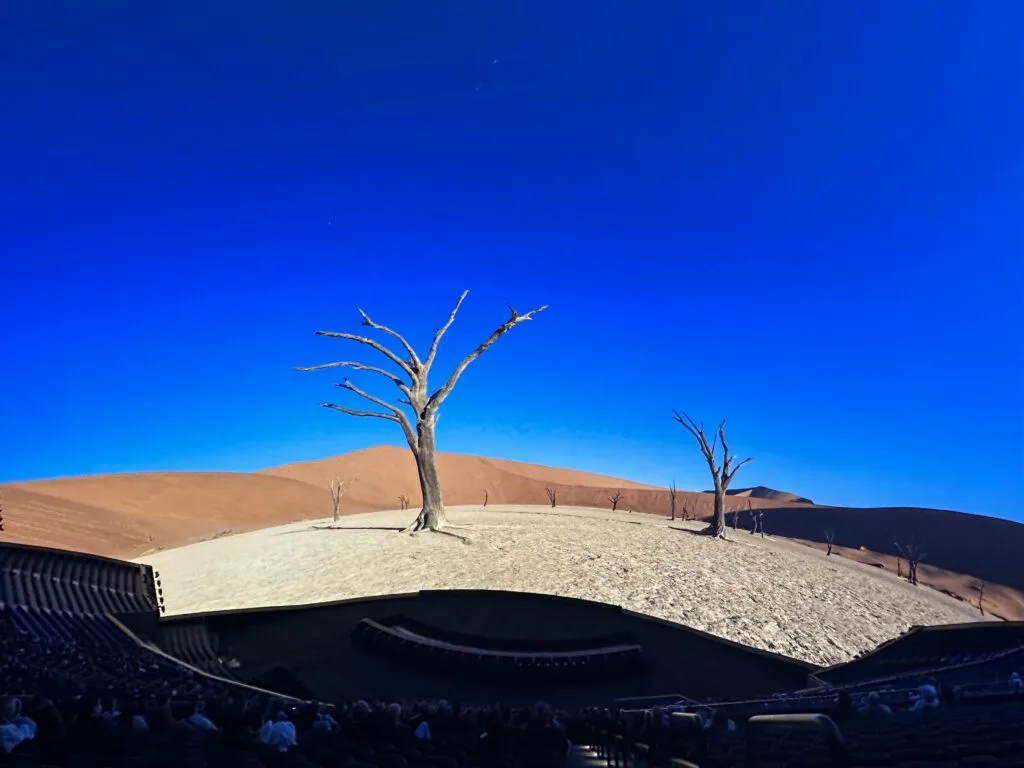 A barren desert landscape with 2 leafless, dead trees. 